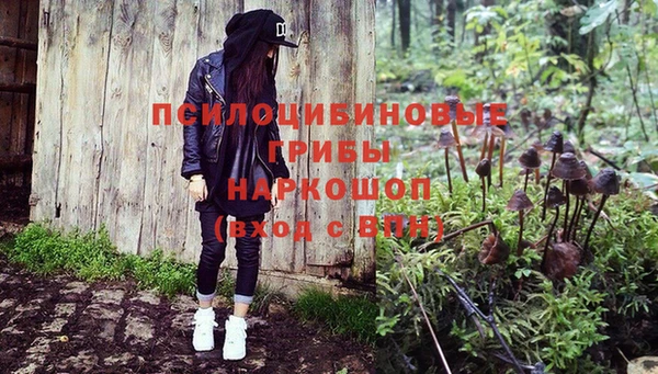 меф Нефтегорск