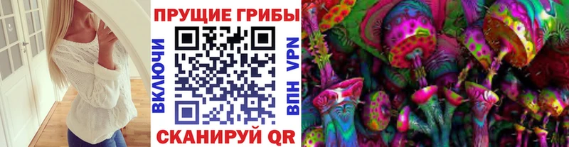 Псилоцибиновые грибы мухоморы  где можно купить наркотик  Миньяр 