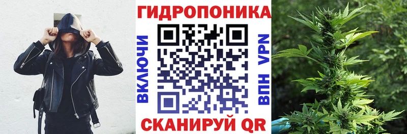 Шишки марихуана сатива  Миньяр 